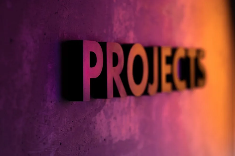 Dirección de proyectos y el ciclo de vida