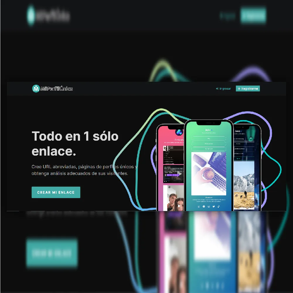 Mi Perfil Único